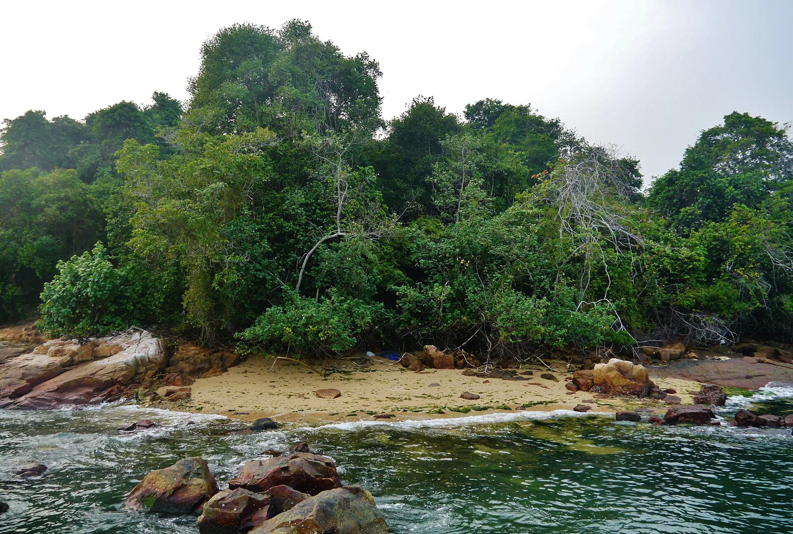 The Chek Jawa wetlands on Pulau Ubin