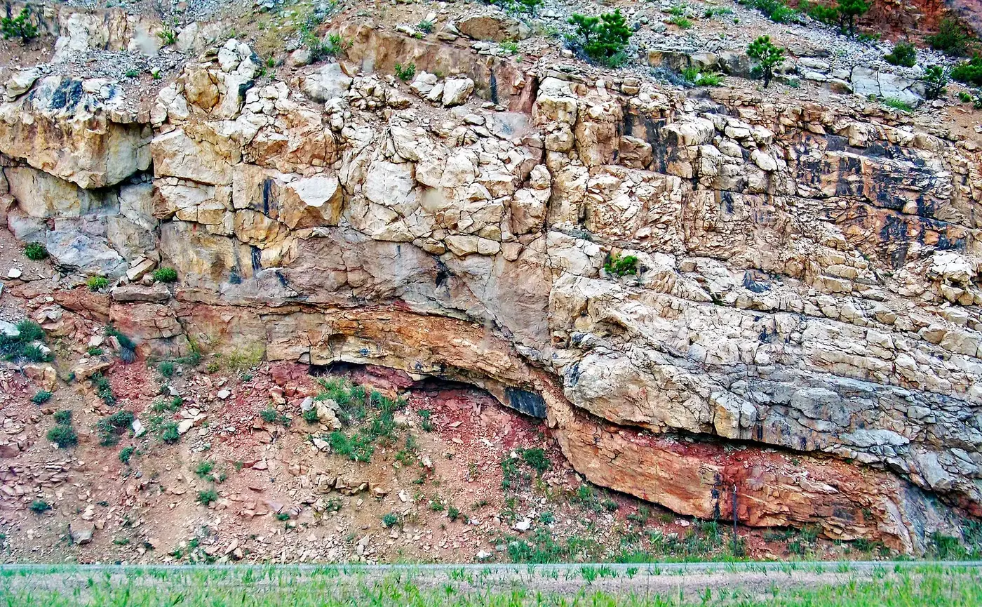 A road-cut exposing beds offset across a fault plane